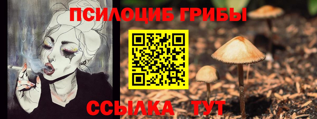 Псилоцибиновые грибы Cubensis Среднеуральск